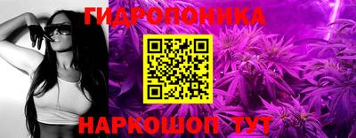 амф Лесосибирск