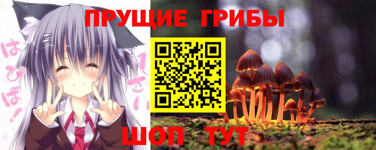 Галлюциногенные грибы GOLDEN TEACHER  Вход с VPN  Кондопога 